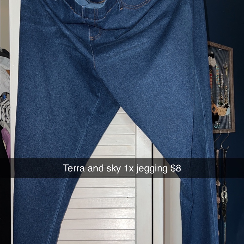 Terra and sky jeggings 1x for bigger in my opinion